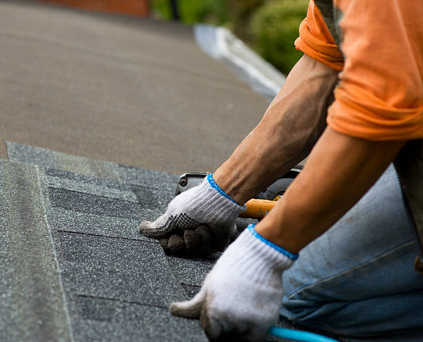 Best New Roof Installation  in Muskegon Heights, MI