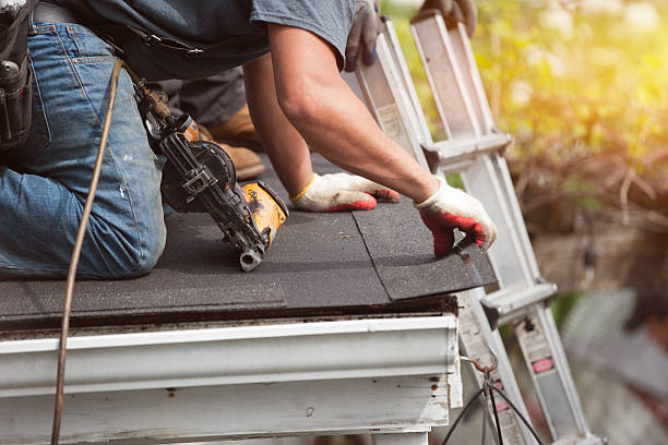 Best Roof Repair Services  in Muskegon Heights, MI